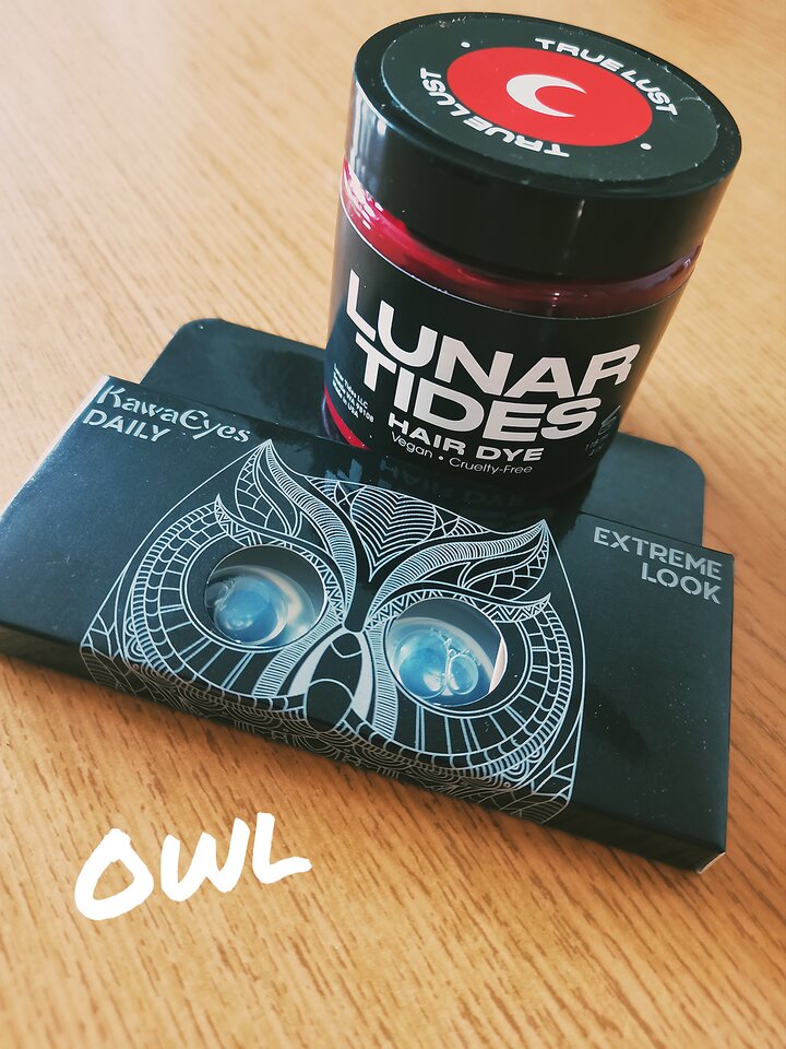 💃🎉💃.jpg - OwlsSoul