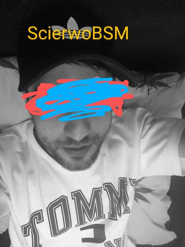 ScierwoBDSM