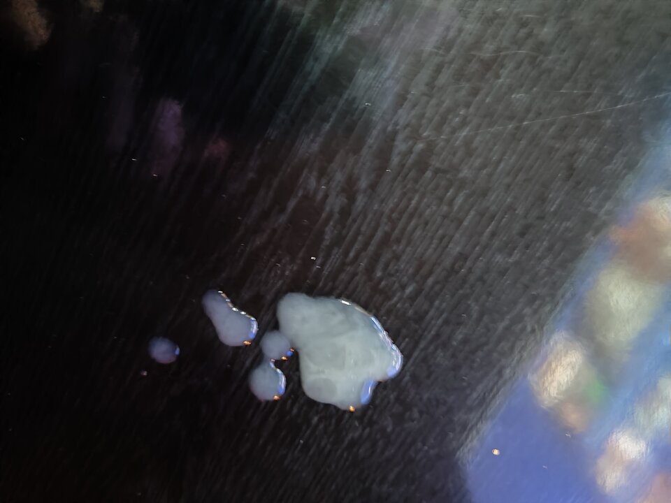 1000010313.jpg - jogan