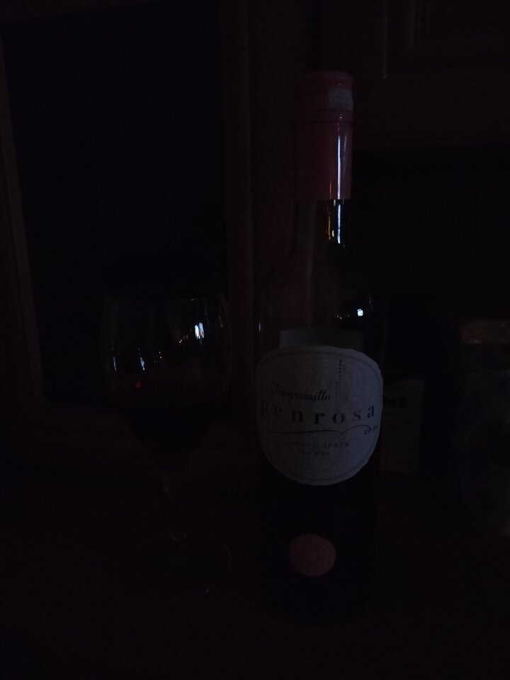 16996519673516480831255805638006.jpg - Mysza2222