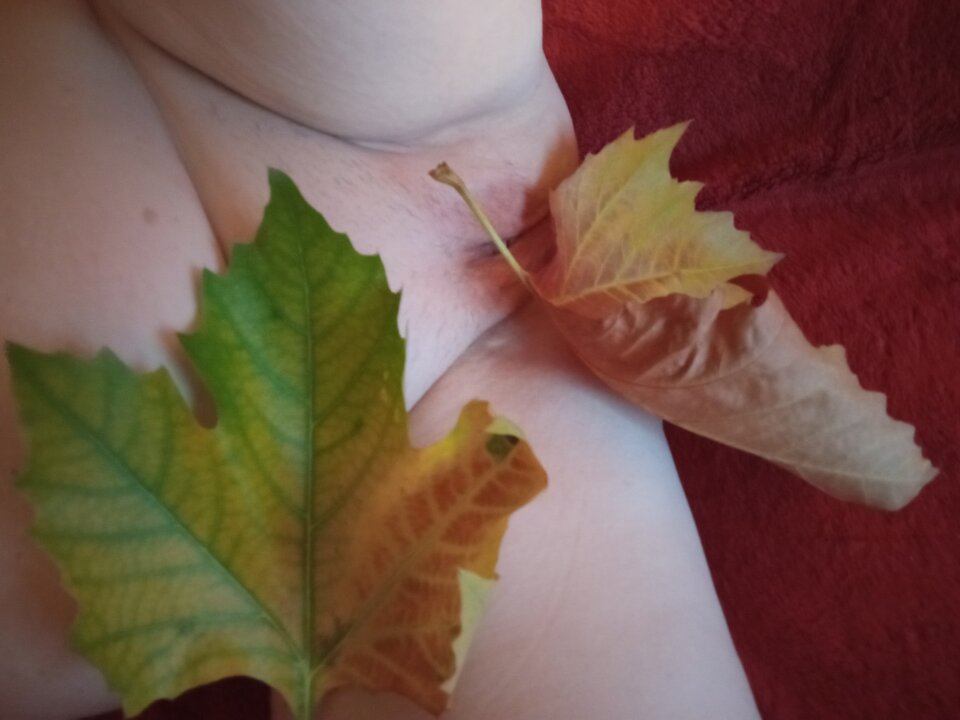 IMG_20231110_154347.jpg - olla55