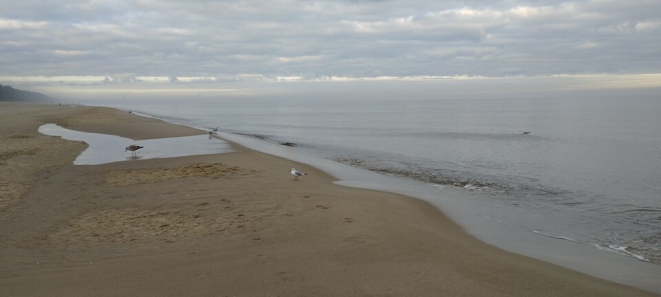 IMG_20231111_084019.jpg - ciekawy62