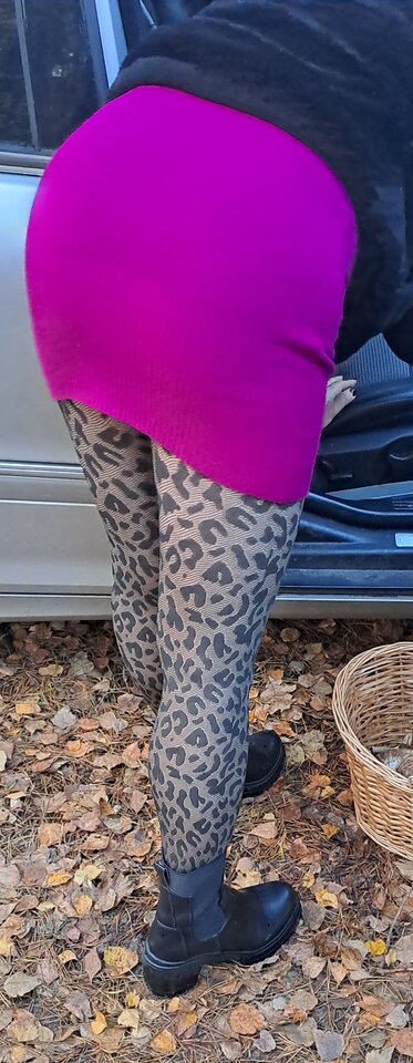 Gdzie jest ten prawdziwek ? - Para5145wlkp