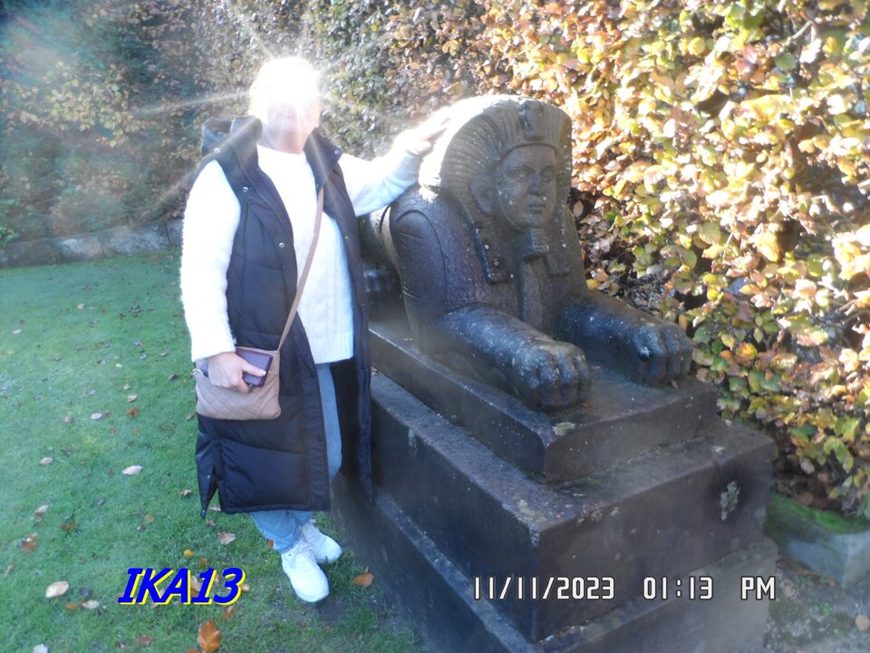 SAM_1828.JPG - ika13