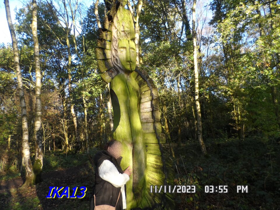 SAM_1830.JPG - ika13