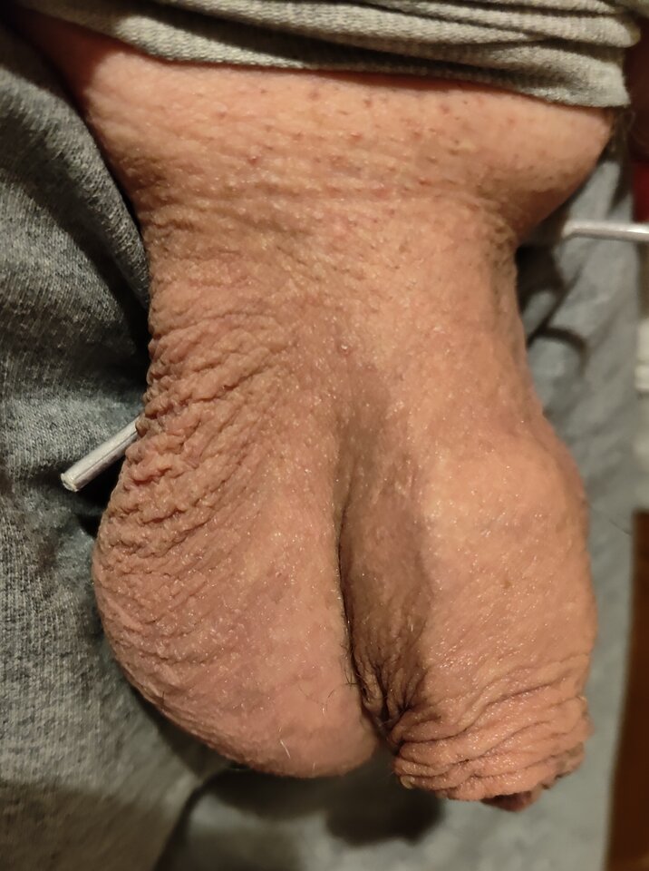 1000010411.jpg - jogan