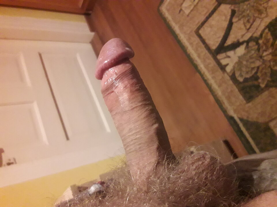 20231111_210350.jpg - brus13