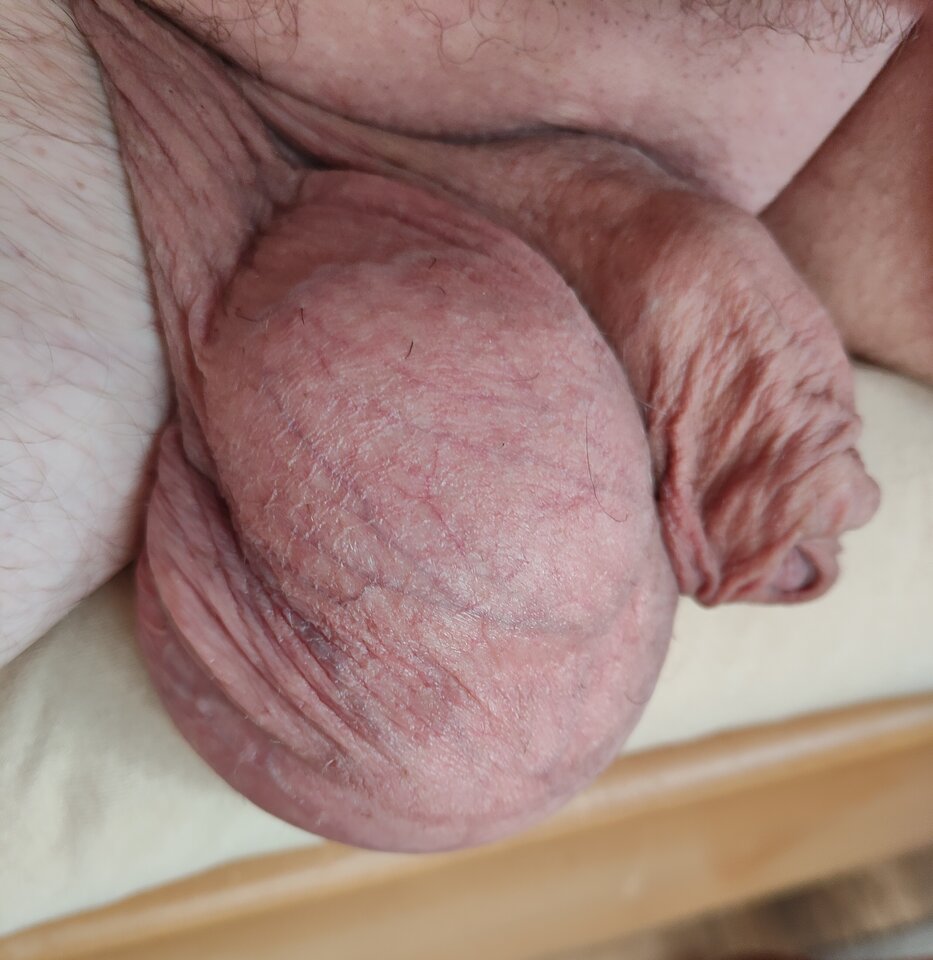 1000010431.jpg - jogan