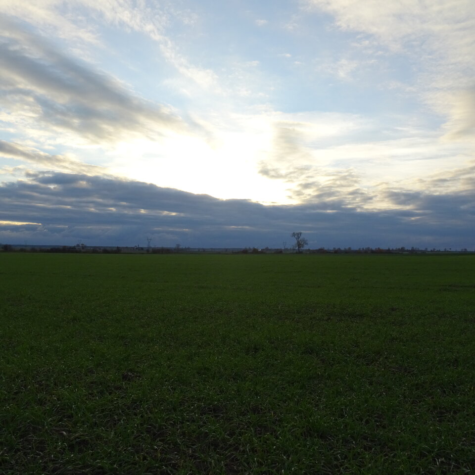 DSC02164.JPG - bojman8