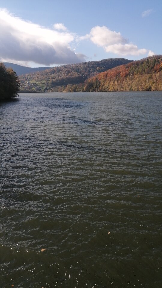 IMG-20231108-WA0013.jpeg - Czarodzieje_alfa