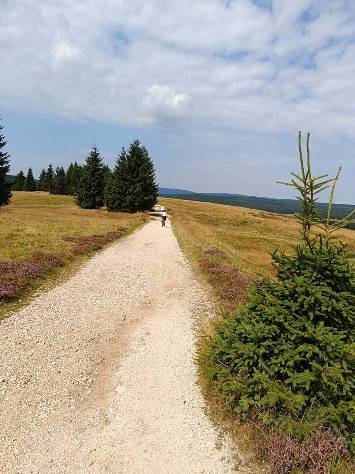 IMG_20230820_122931.jpg - Dobry_Dyskret82