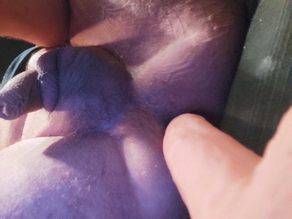 IMG_20231112_175133.jpg - Kasju