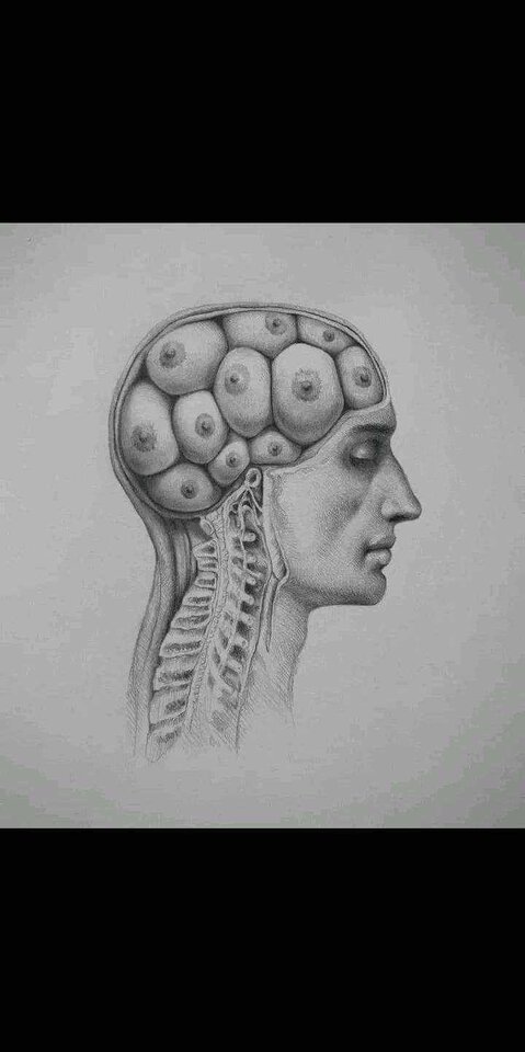 fffffff.jpg - Toplessography