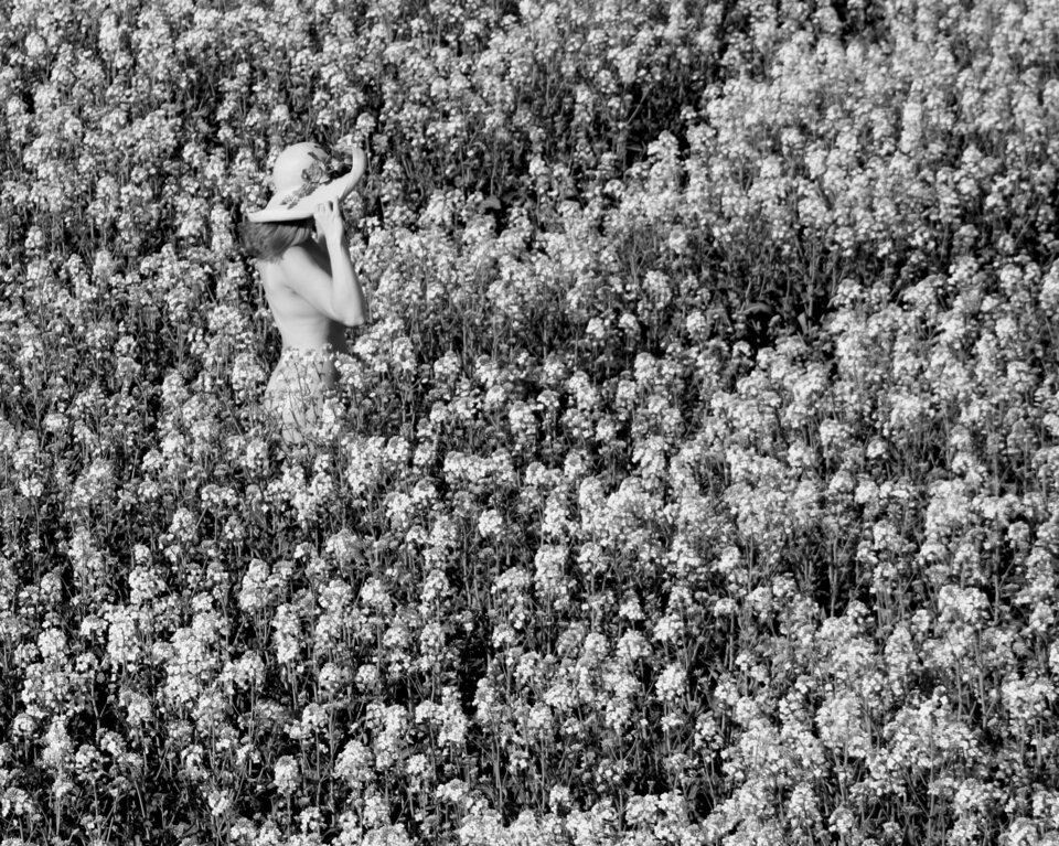 pb-2.JPG - ulisses_i_penelopa_XXI