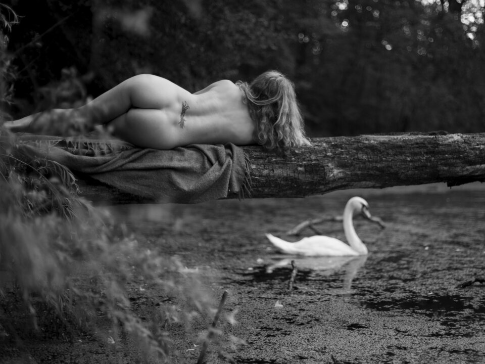 8.jpg - ulisses_i_penelopa_XXI