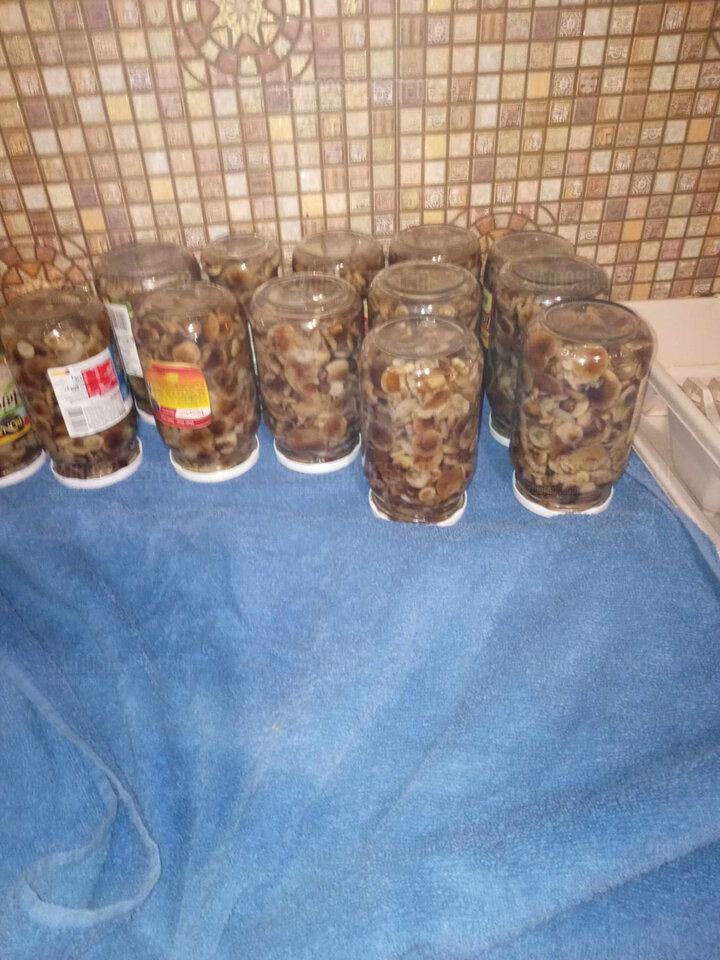 received_699005068828001.jpeg - samosiajestem