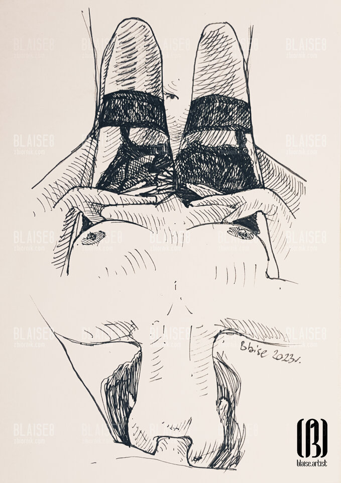 Art. No. 249 - blaise8