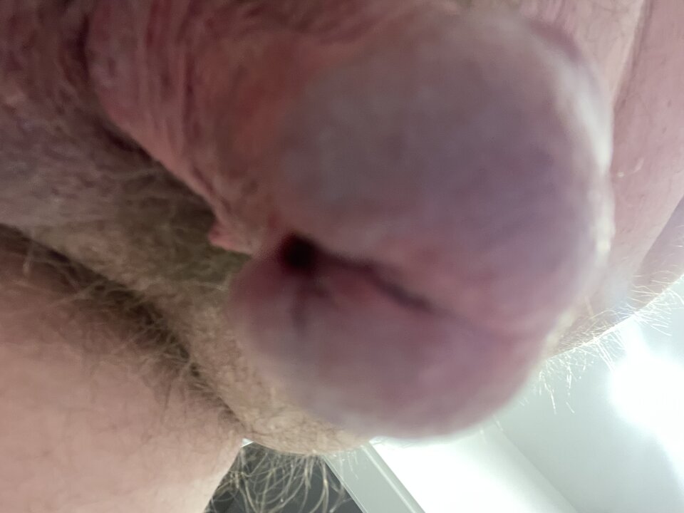 IMG_3605.jpeg - Andre1979