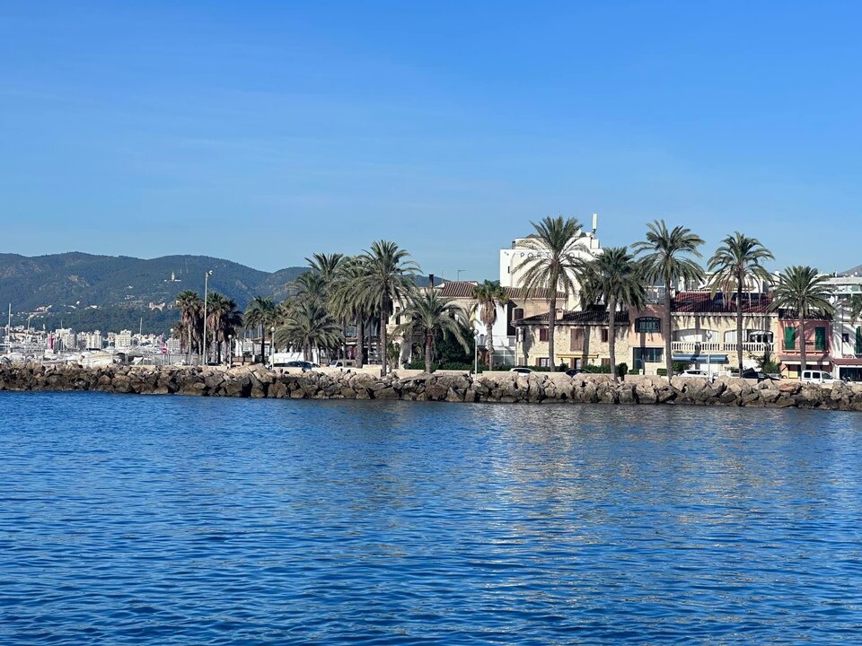 IMG_1305.jpeg - Henryk1