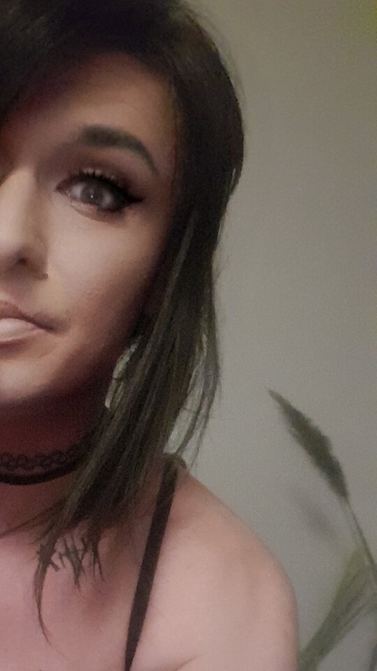 20231115_174449.jpg - TransKitty