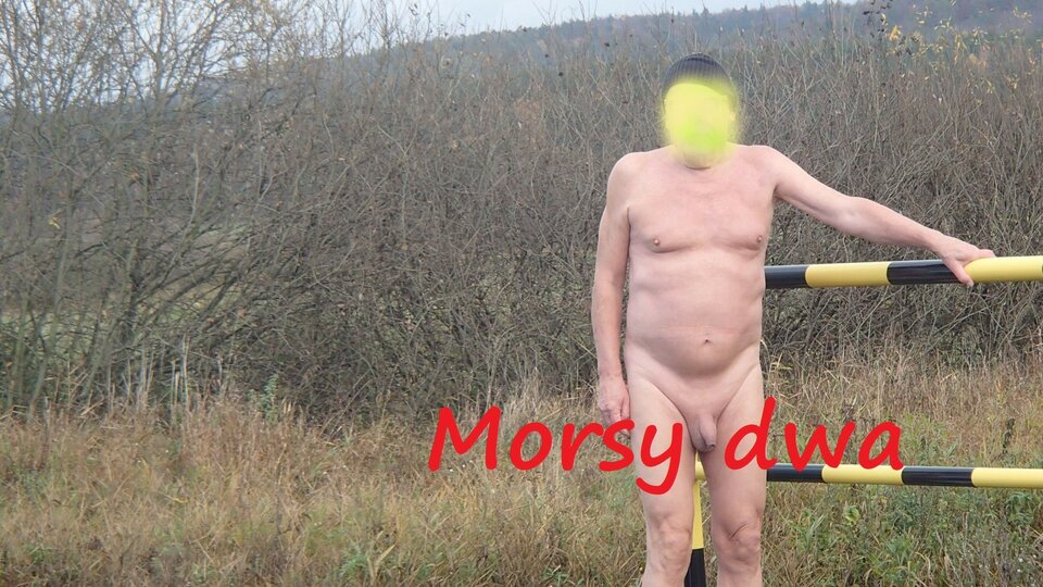 Zbiornik 2297. - Morsy_dwa