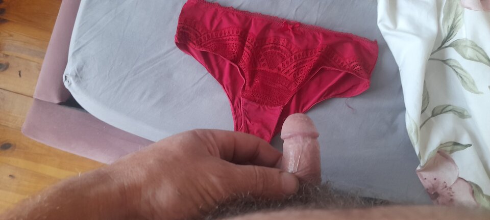 17001226661131675012047355617699.jpg - Debowy77