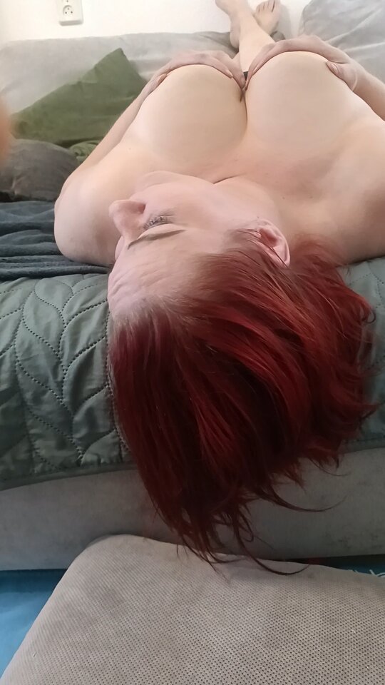 20231116115024035.jpeg - nelalike