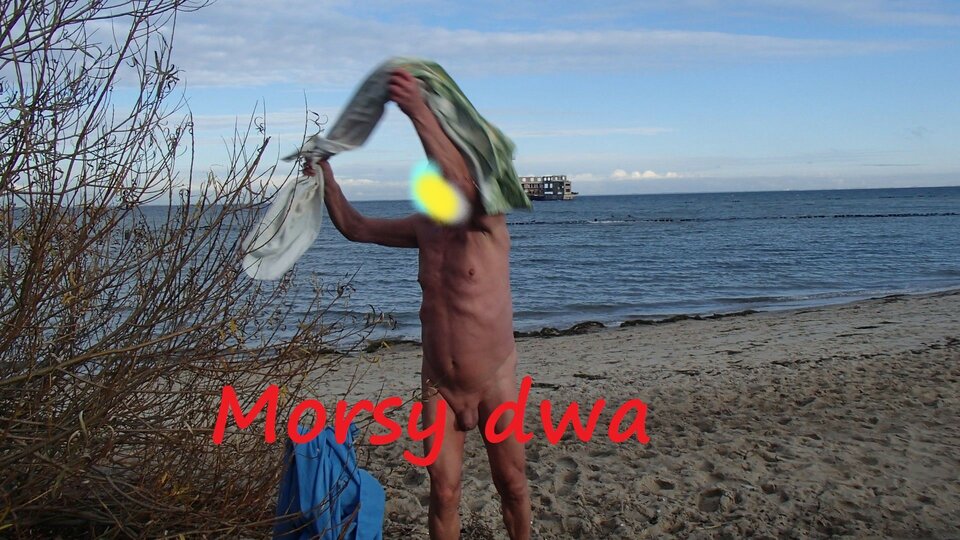 Babie Doły. - Morsy_dwa