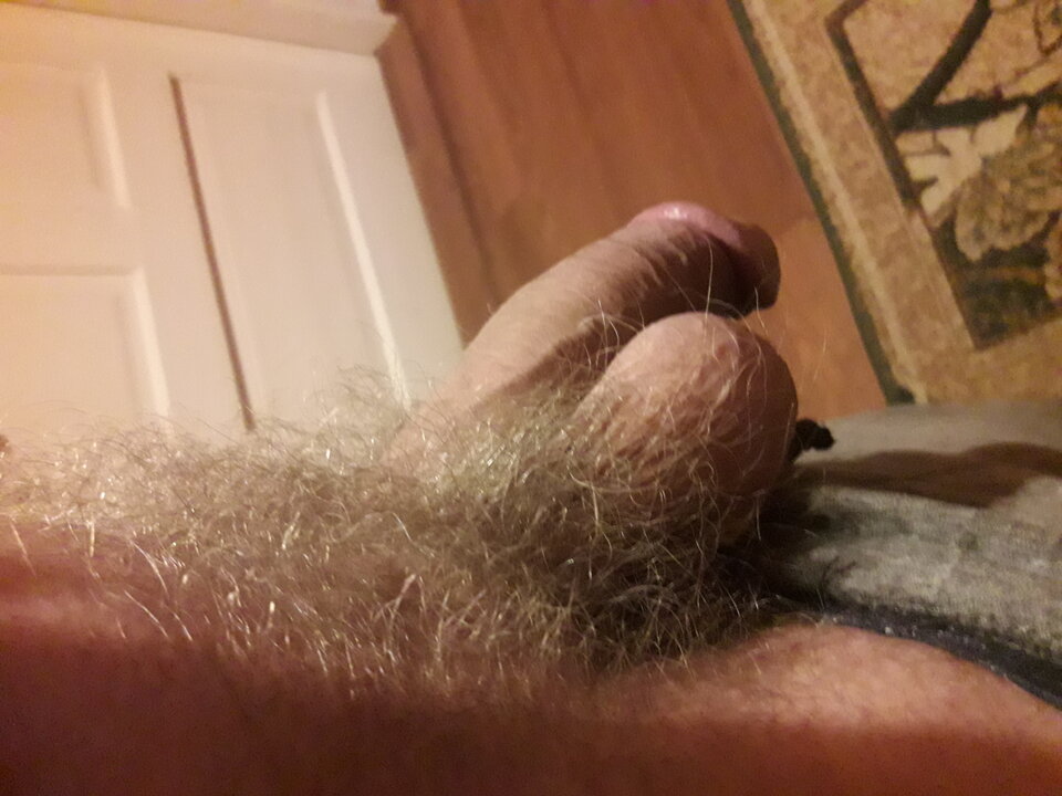 20231116_181938.jpg - brus13