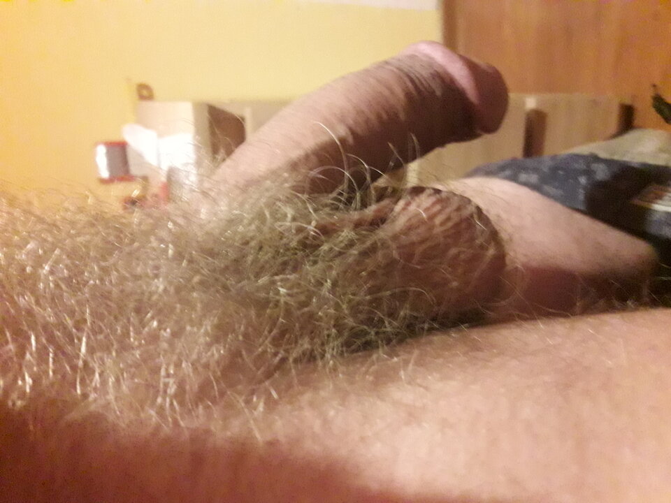 20231116_182046.jpg - brus13