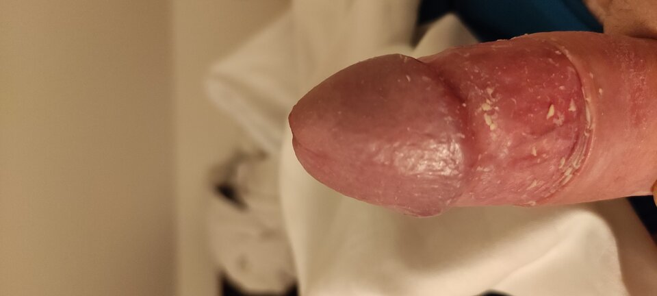 IMG_20231116_223317.jpg - Serek74