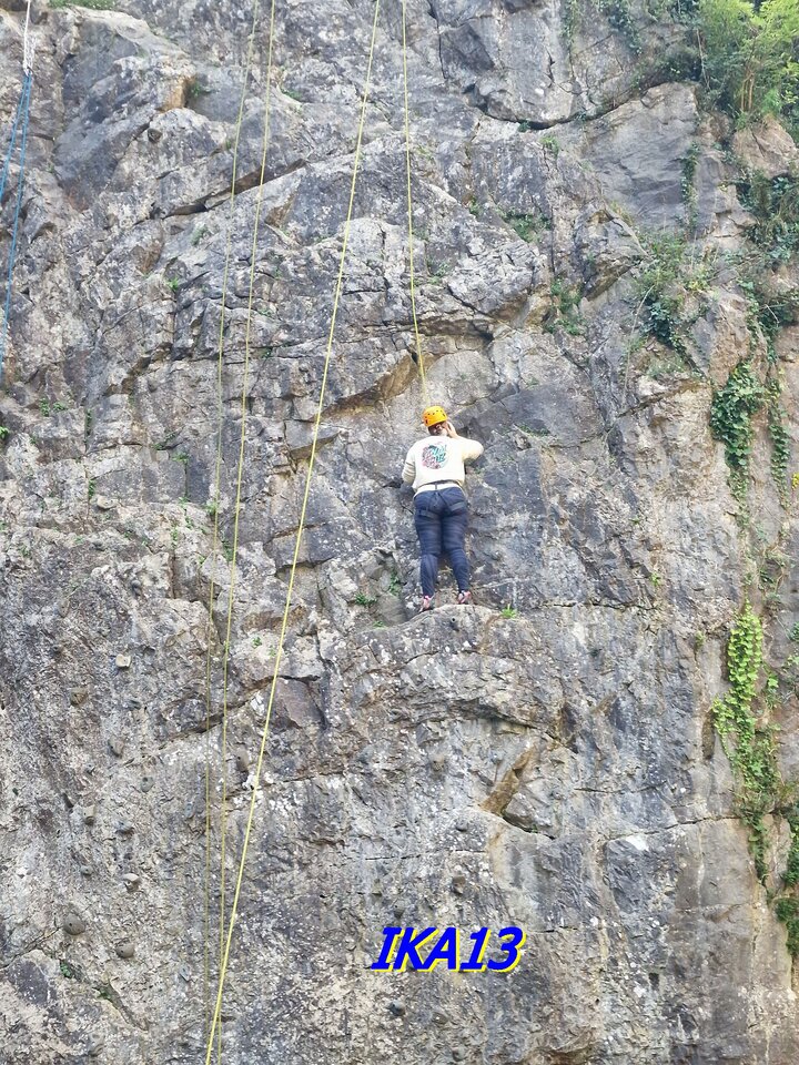 20231015_132649a.jpg - ika13