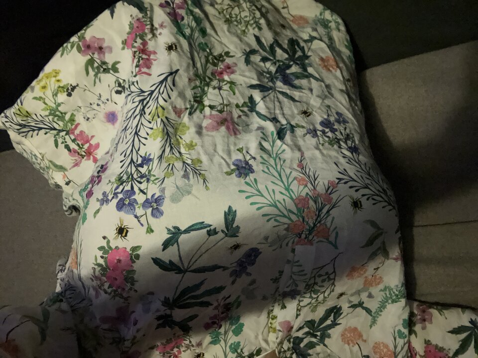 IMG_9237.jpeg - uleglakrysia