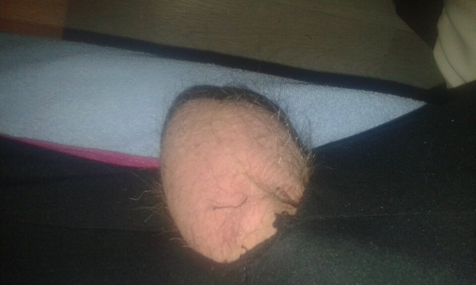 20231118_055916.jpg - 11igor11