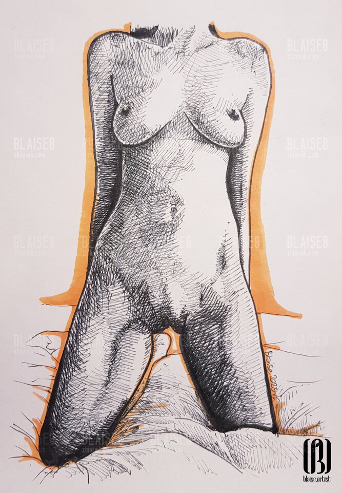 Art. No. 251 - blaise8