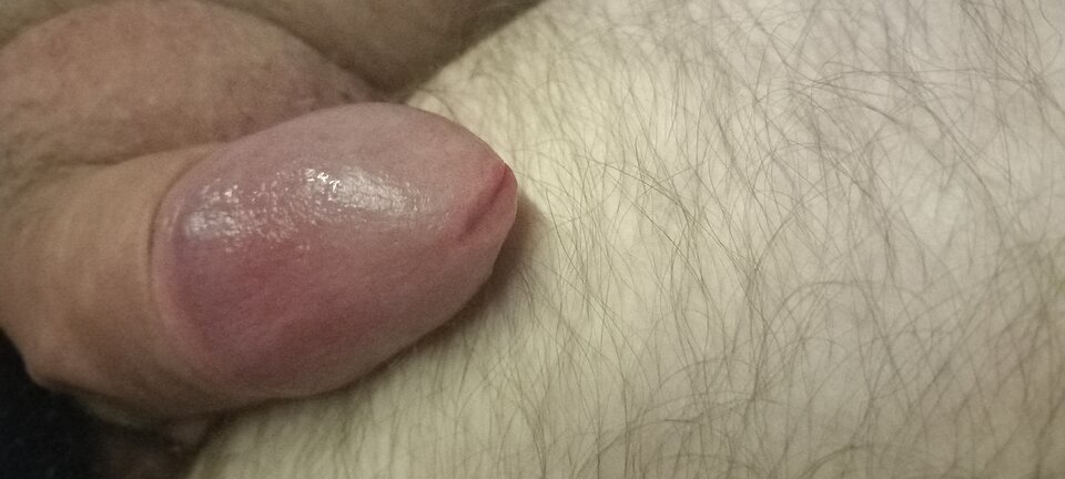 17003341674993447062179260023478.jpg - Jo3