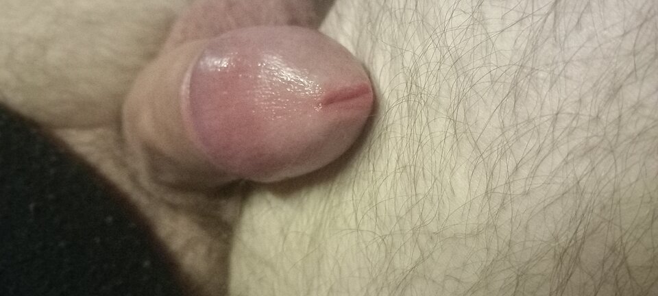 17003342243544838316095098770319.jpg - Jo3