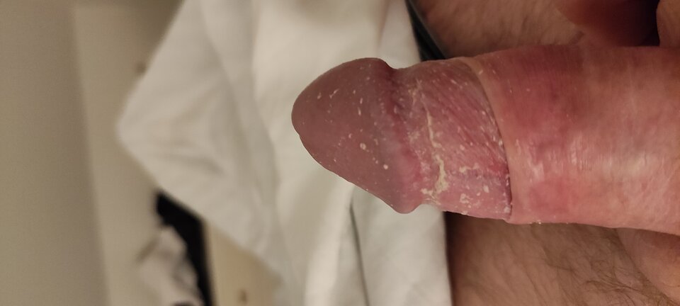 IMG_20231118_220019.jpg - Serek74