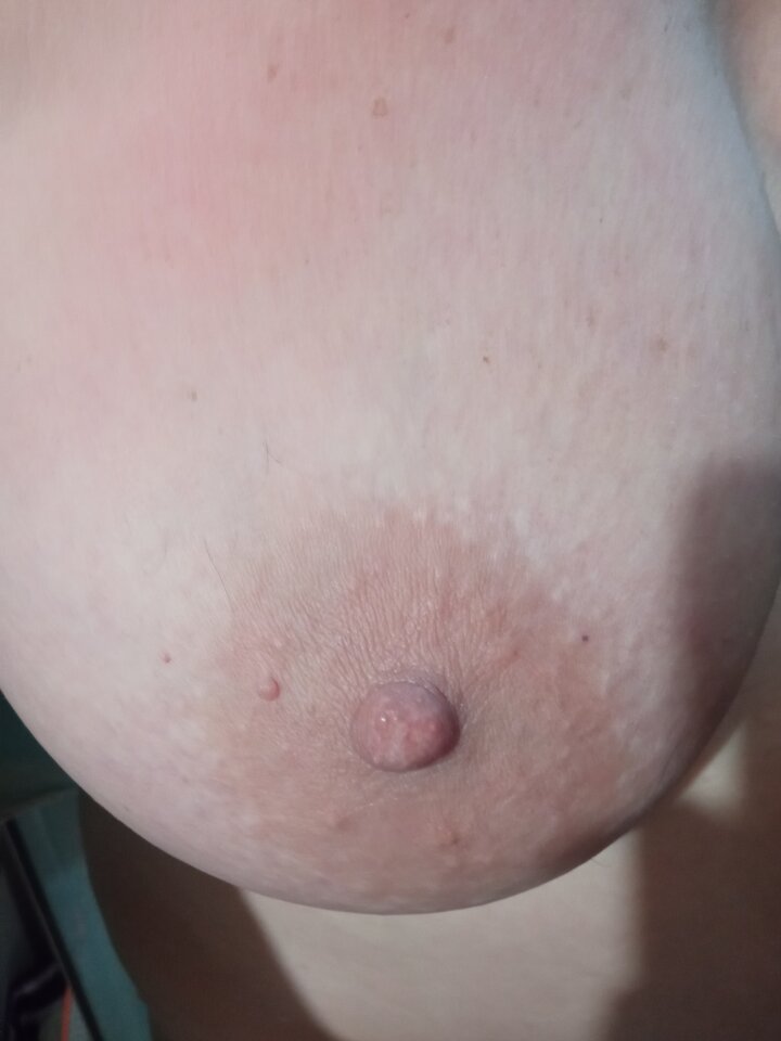 IMG_20231119_064401.jpg - olla55