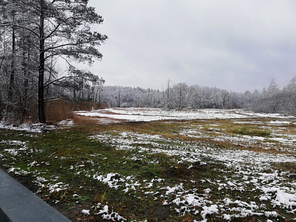 IMG_20231119_112657.jpg - Gimlii73