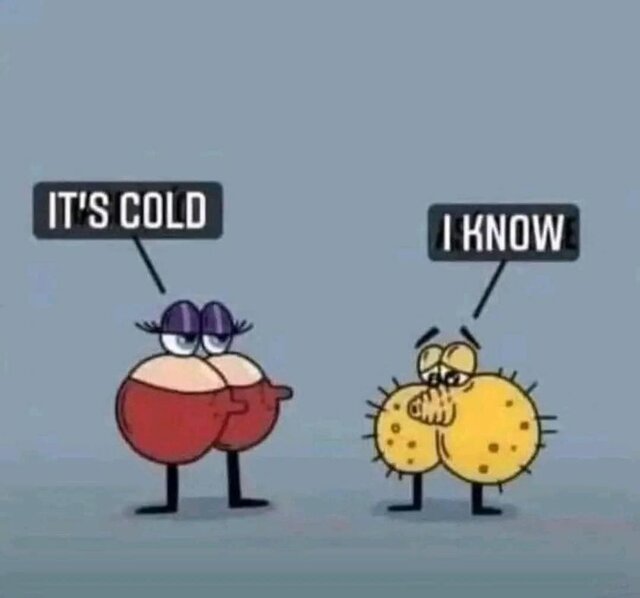 Kiedy zimno jest.jpg - bobbix