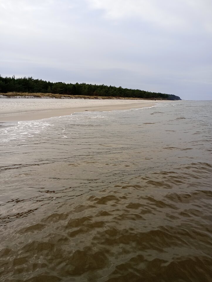 IMG_20231119_112557.jpg - zboj84