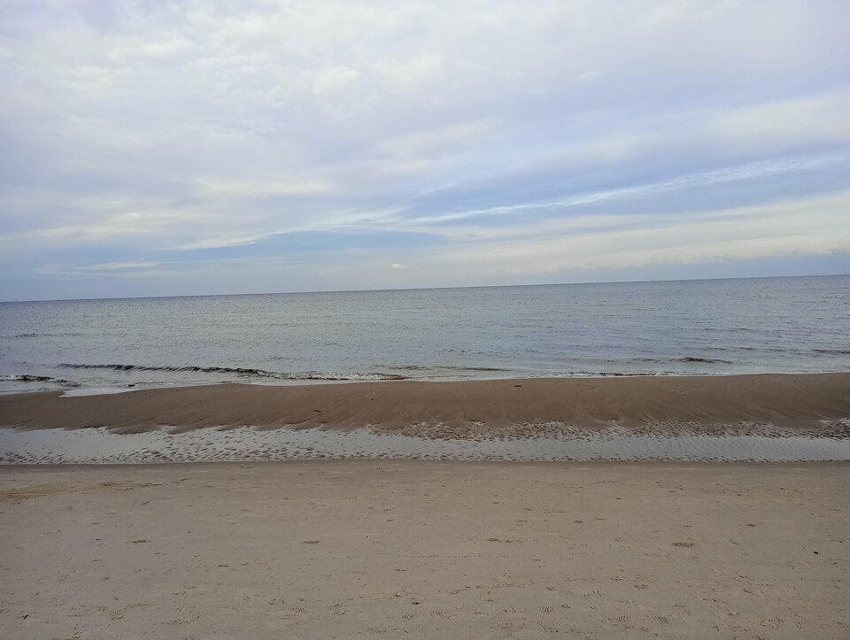 IMG_20231119_111446.jpg - zboj84