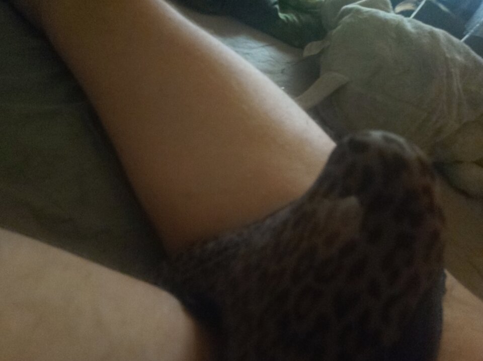 IMG_20231120_074628.jpg - Johny19999