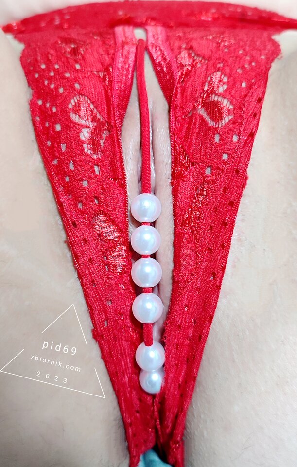 pid69-2311-3.jpg - pid69