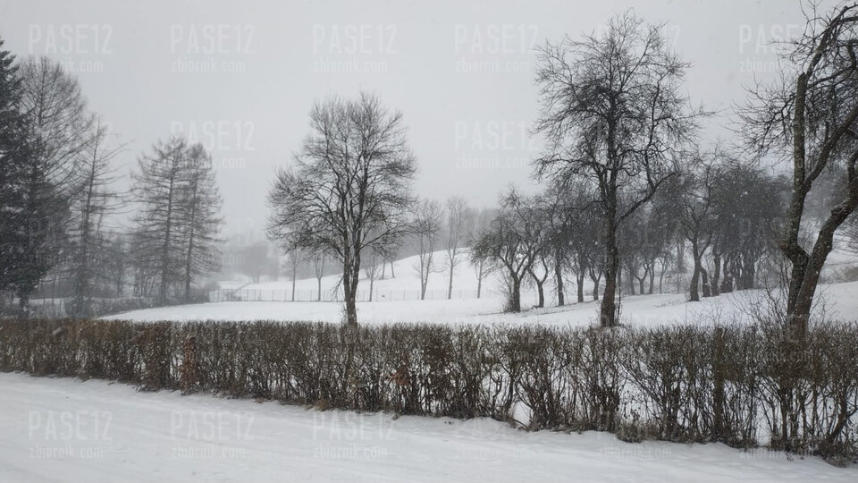 IMG-2023.jpg - pase12