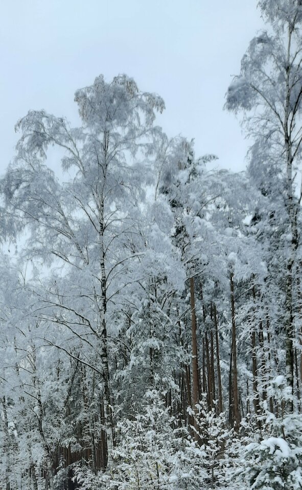 20231120_113721.jpg - Wiktoria7777