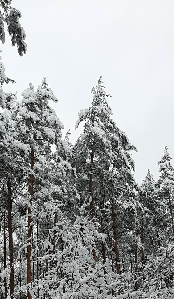 20231120_113436.jpg - Wiktoria7777