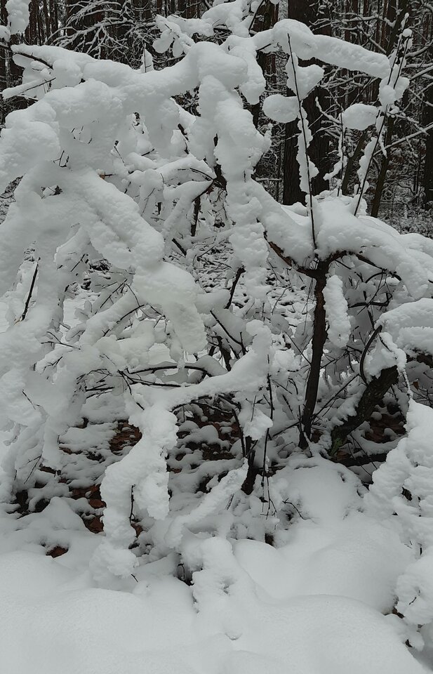 20231119_114334.jpg - Wiktoria7777