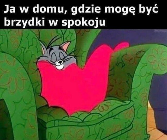 FB_IMG_1700506386955.jpg - 87urocza